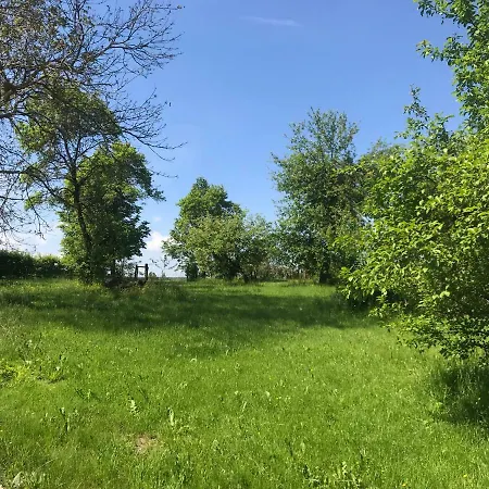 Ivonete Wettringen (Bavaria)
